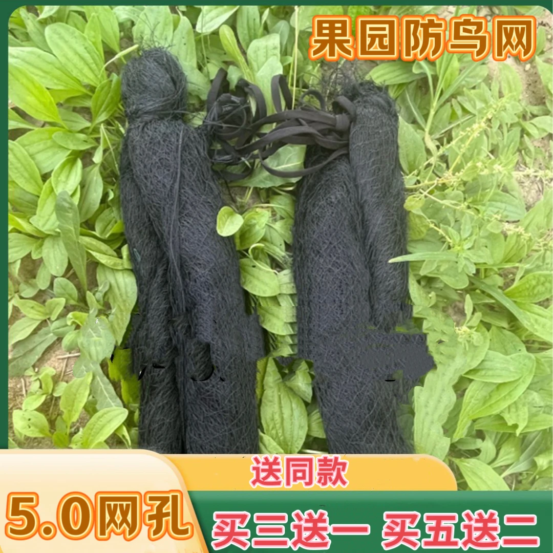 尼龙防鸟网果园农田菜园养殖网适用户外防护网固定使用