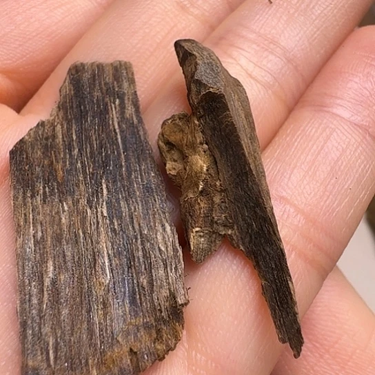 静水达拉干沉水1.1克