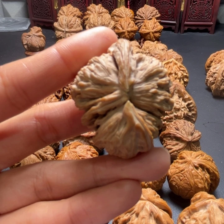 白狮子推土机单只40尺寸核桃