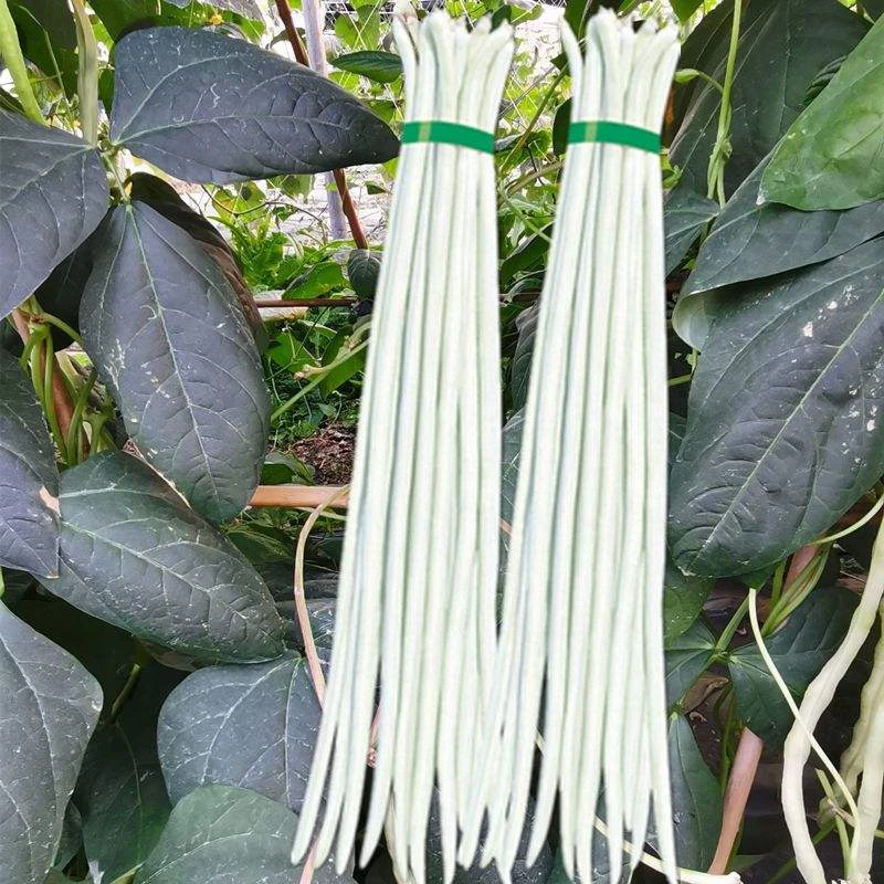 新鲜白长豆约250克