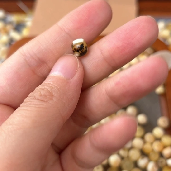 蜜蜡未镶嵌裸石7.4mm一个