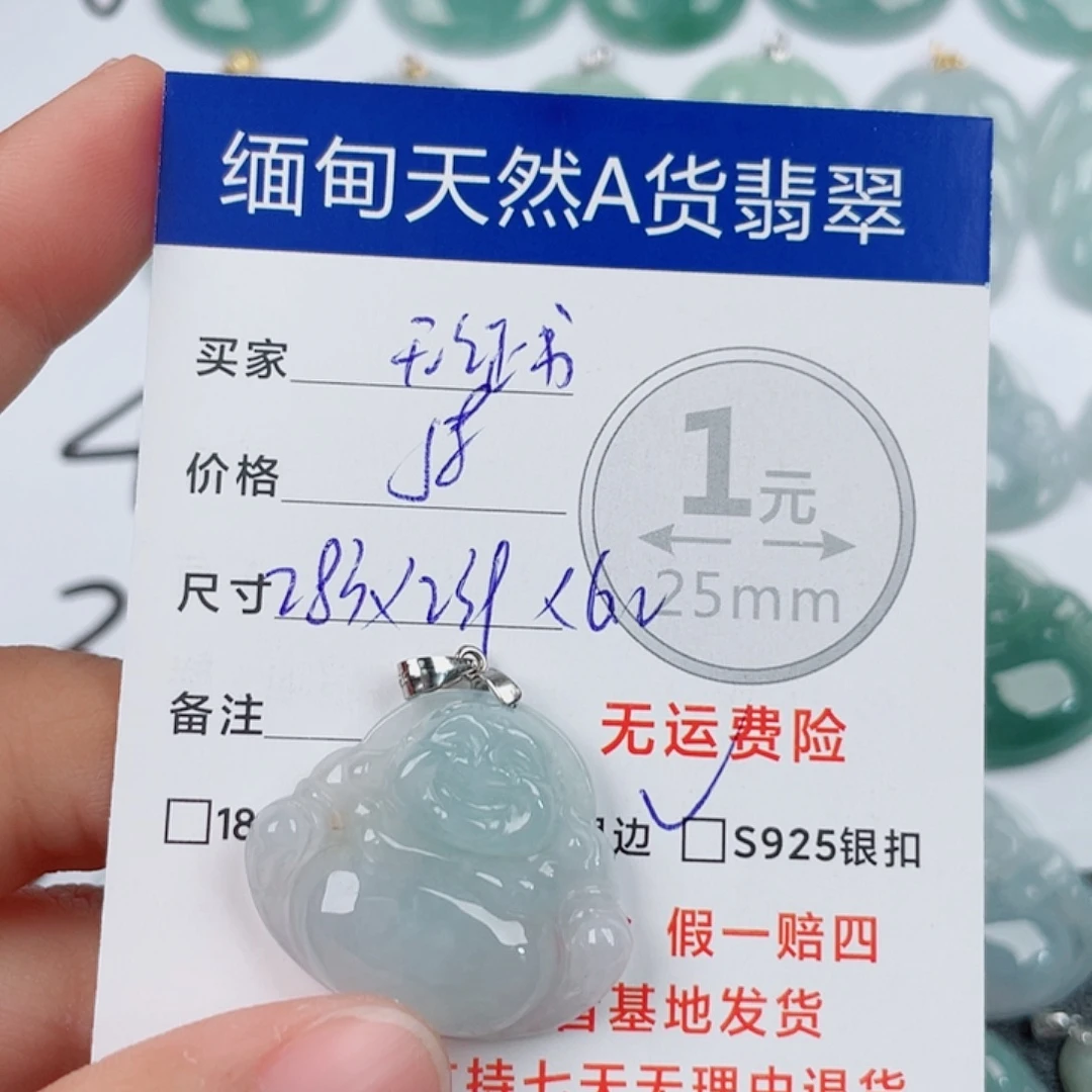 翡翠银S925镶嵌颈饰翡翠