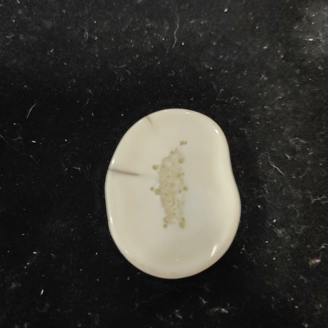 猛犸猛犸虬饼子WW131