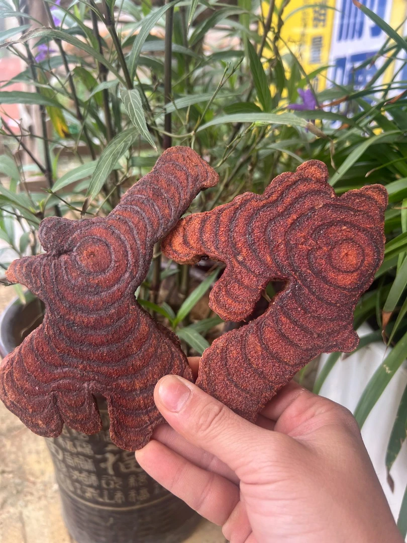 精选广西正宗野生小叶鸡血藤干片 精选中片 现场挑选