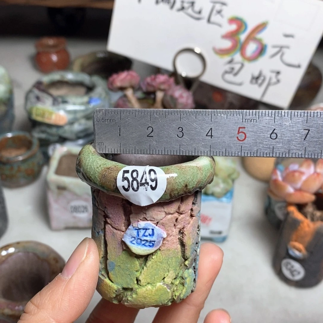 花盆拍3送一个小礼物