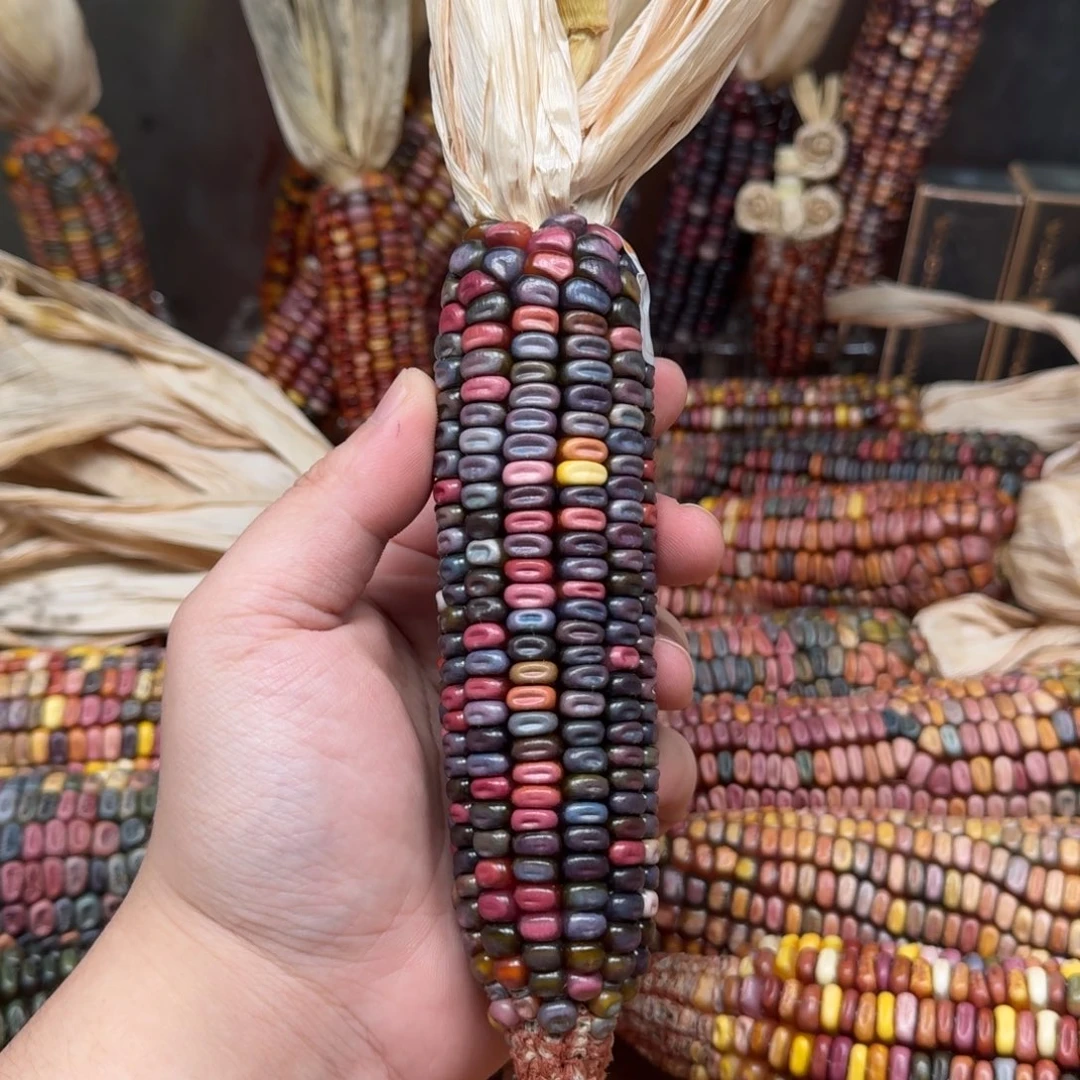 柏香籽/百香籽吊坠叁*