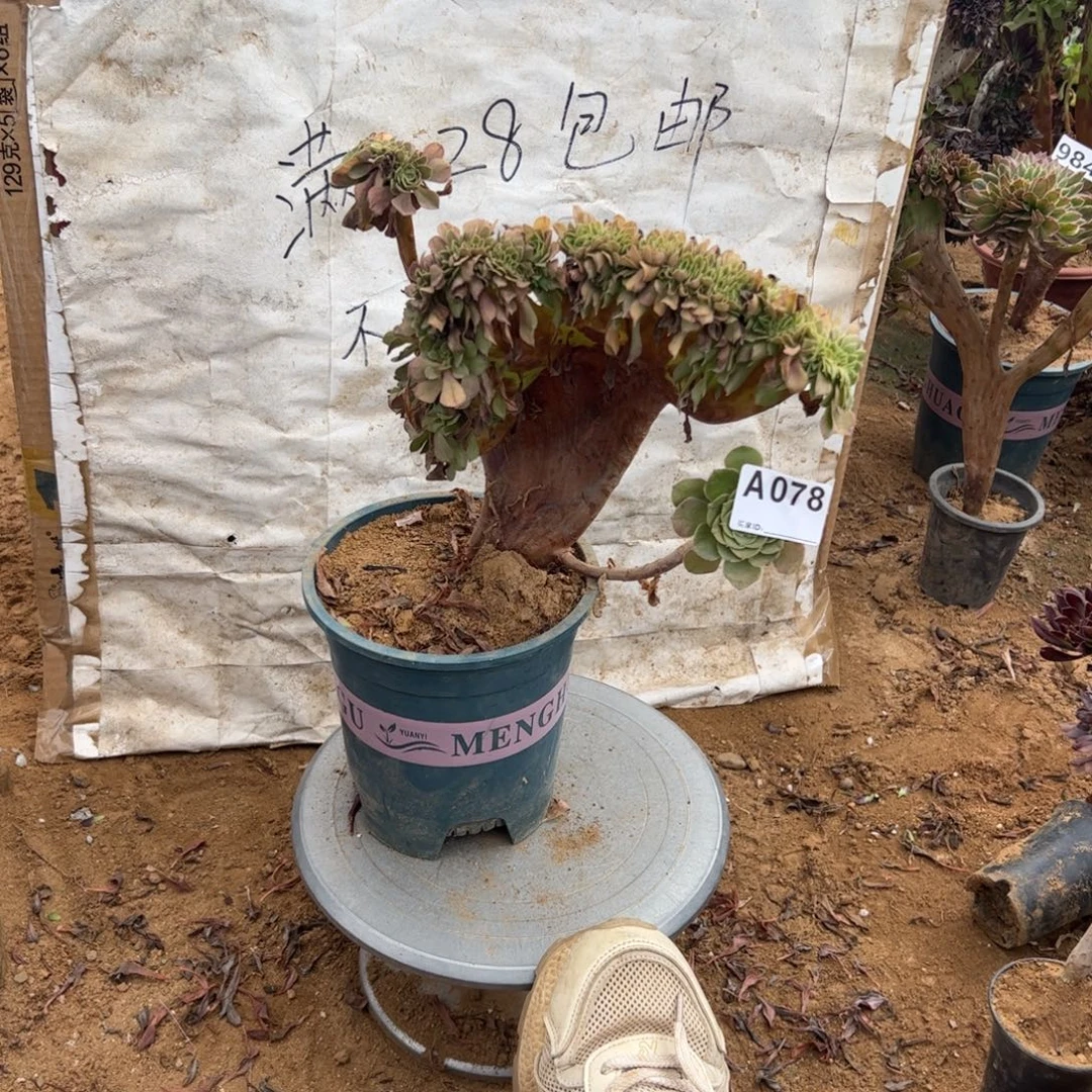 微瑕疵妖万缀078满28包邮