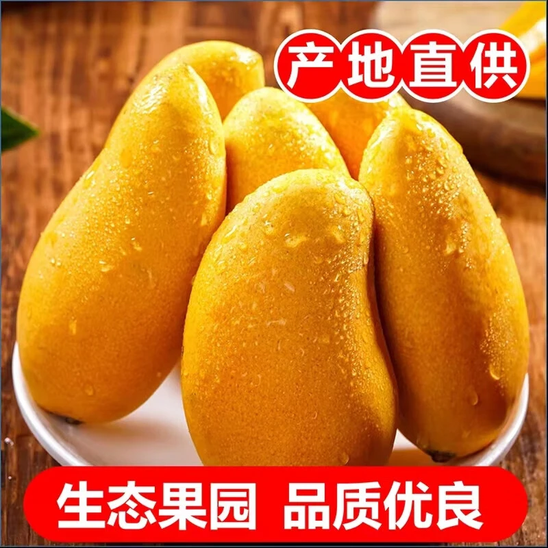 海南小台农芒果新鲜小台芒当季特产水果现摘甜心芒果整箱孕妇芒果
