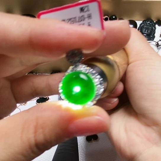 翡翠银S925镶嵌颈饰