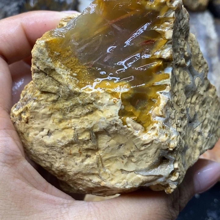 【闪购商品】未镶嵌珊瑚玉硅化玉b**b