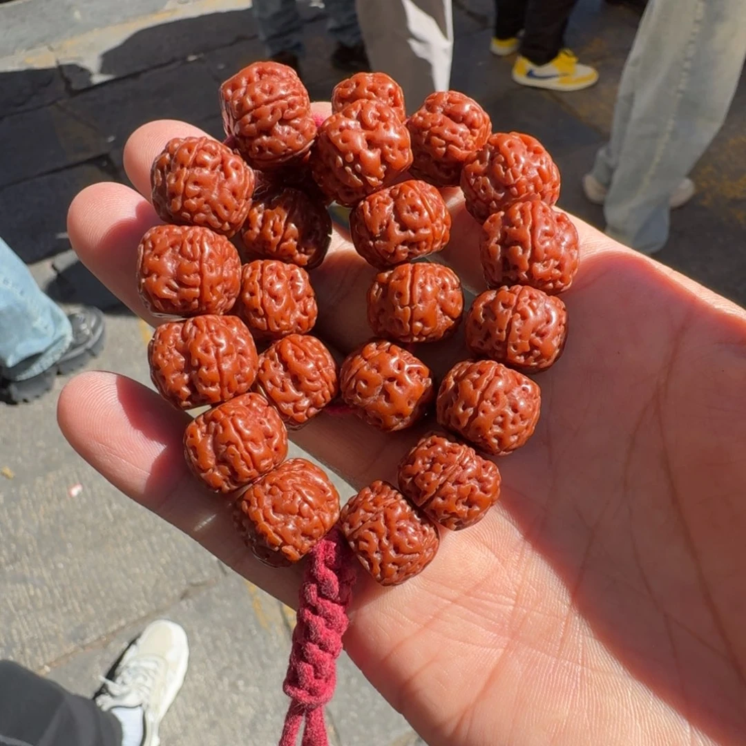 ****o金刚菩提吊坠菩提树等树木的生长发育和