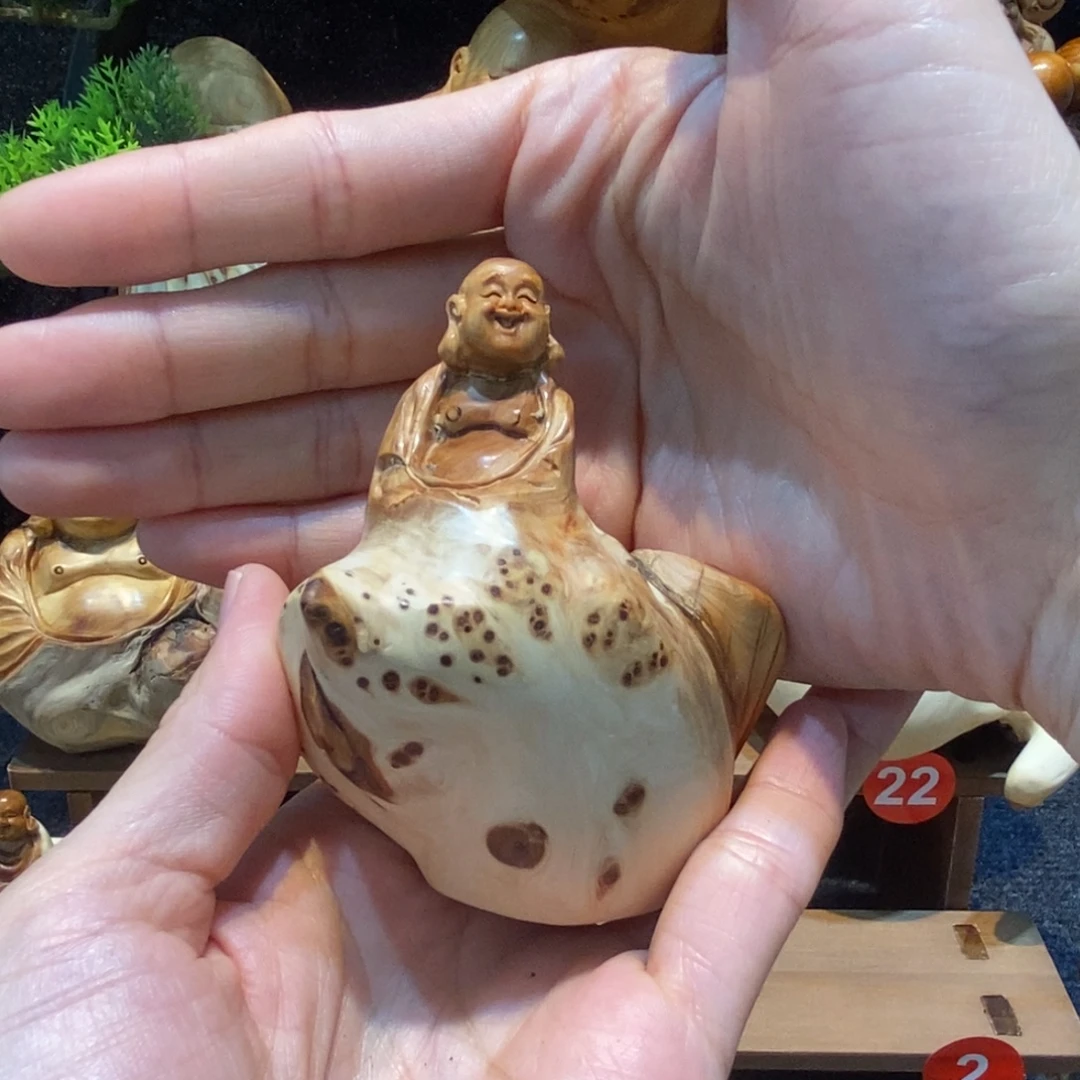 用***2柏木（崖柏）精品太行崖柏