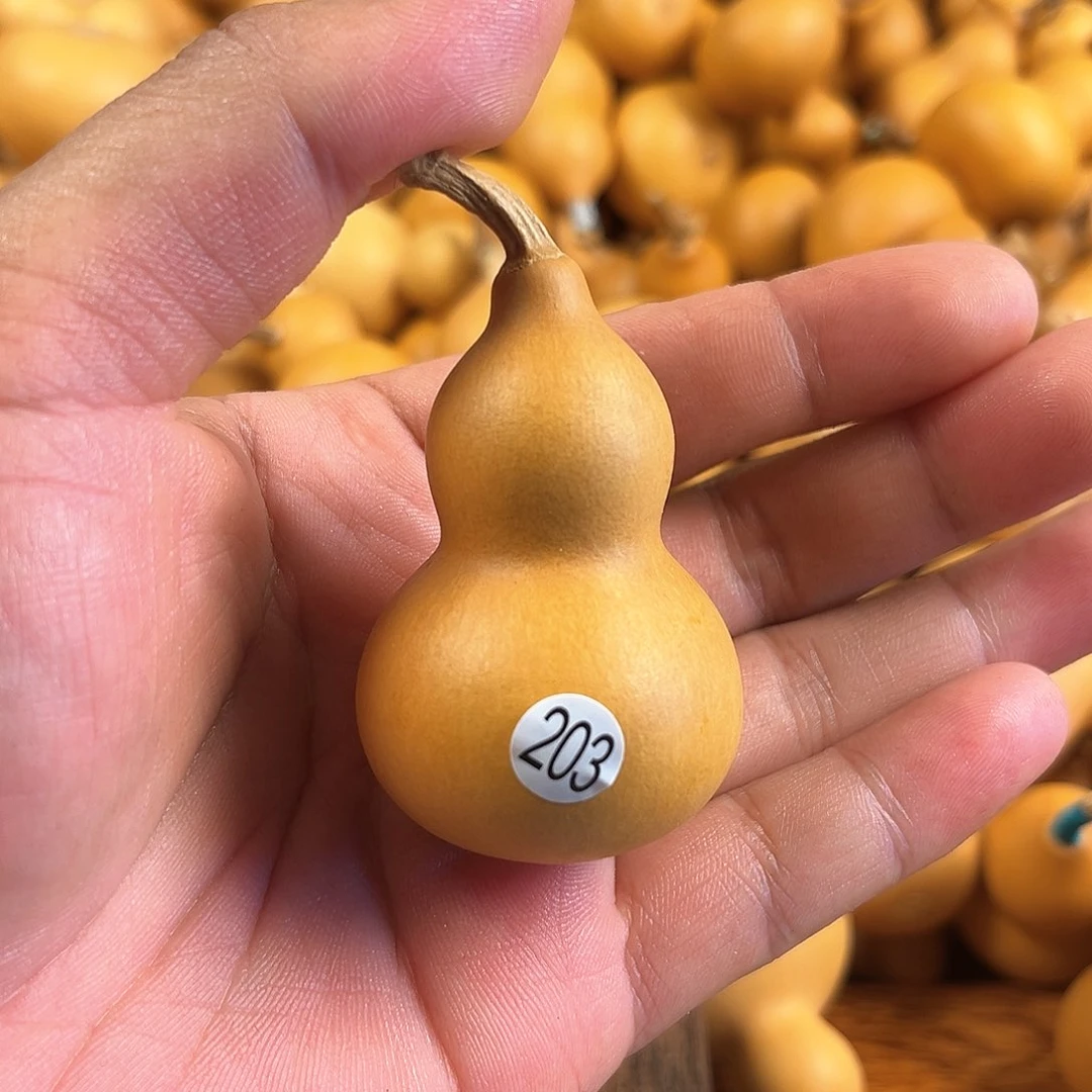 一葫芦葫芦葫芦葫芦203