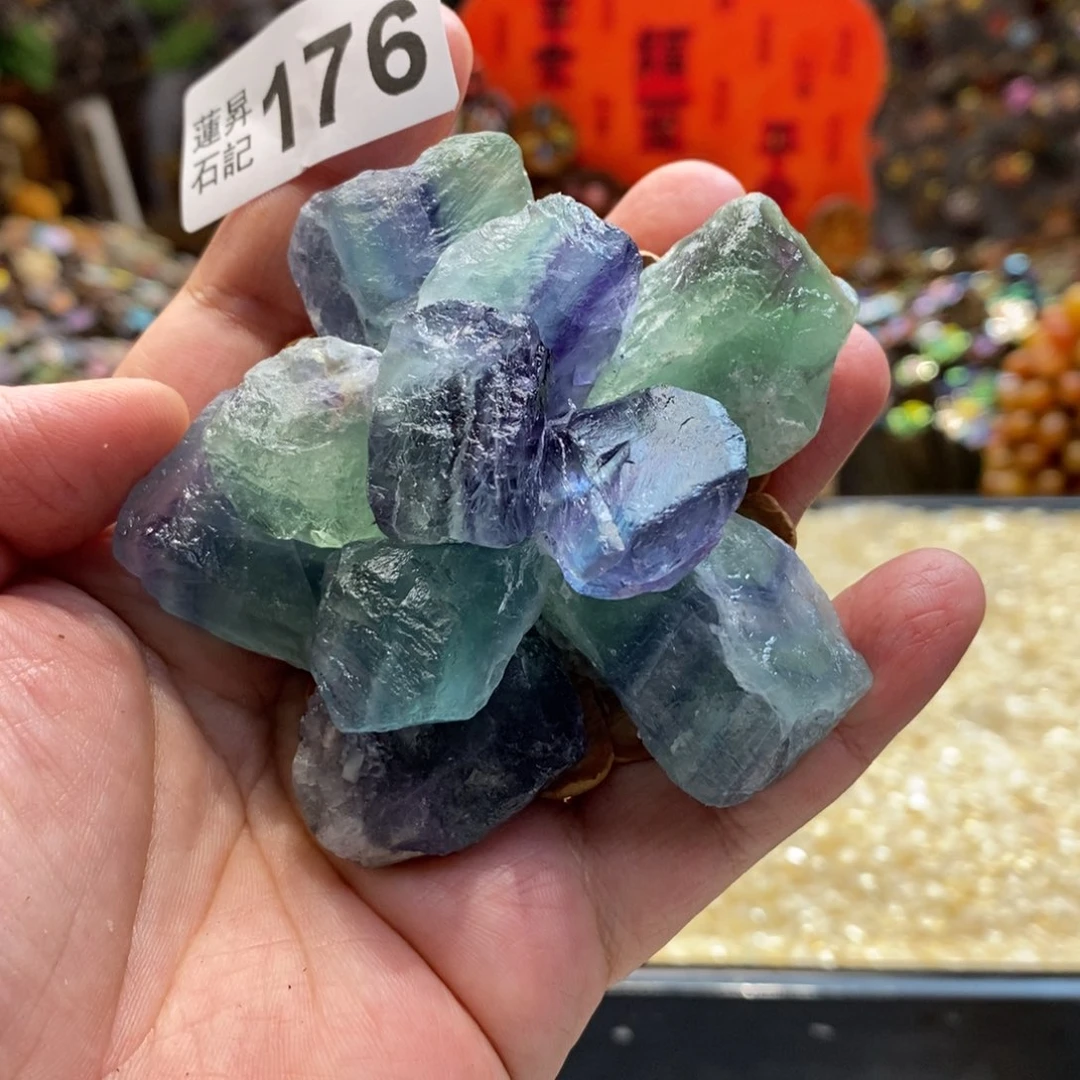 核桃木/黑胡桃（胡桃木）?****?176