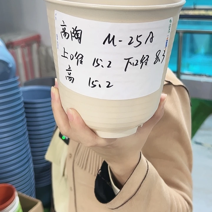 正品高陶口15高15白色无托18支