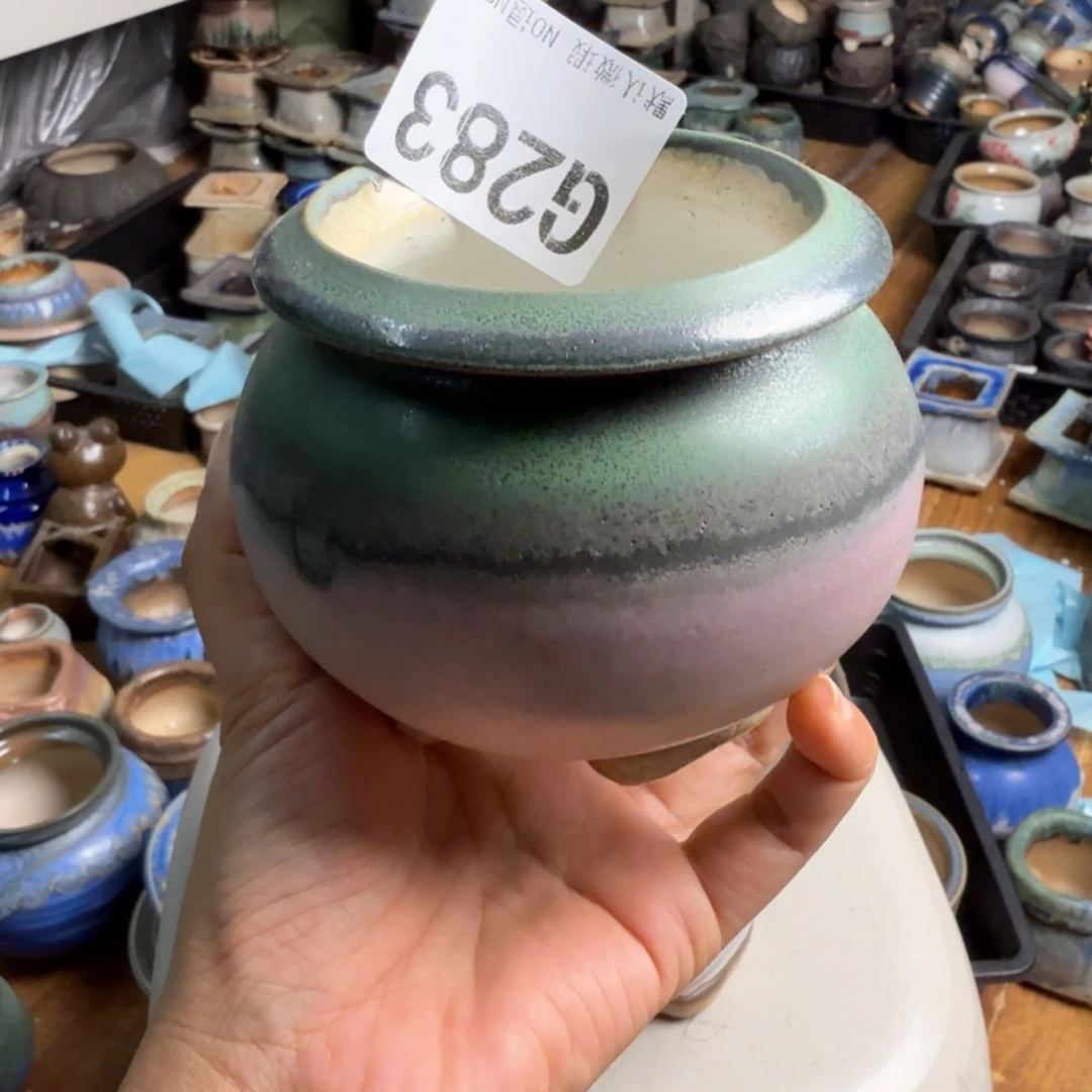 重庆小燕子欢迎大家283