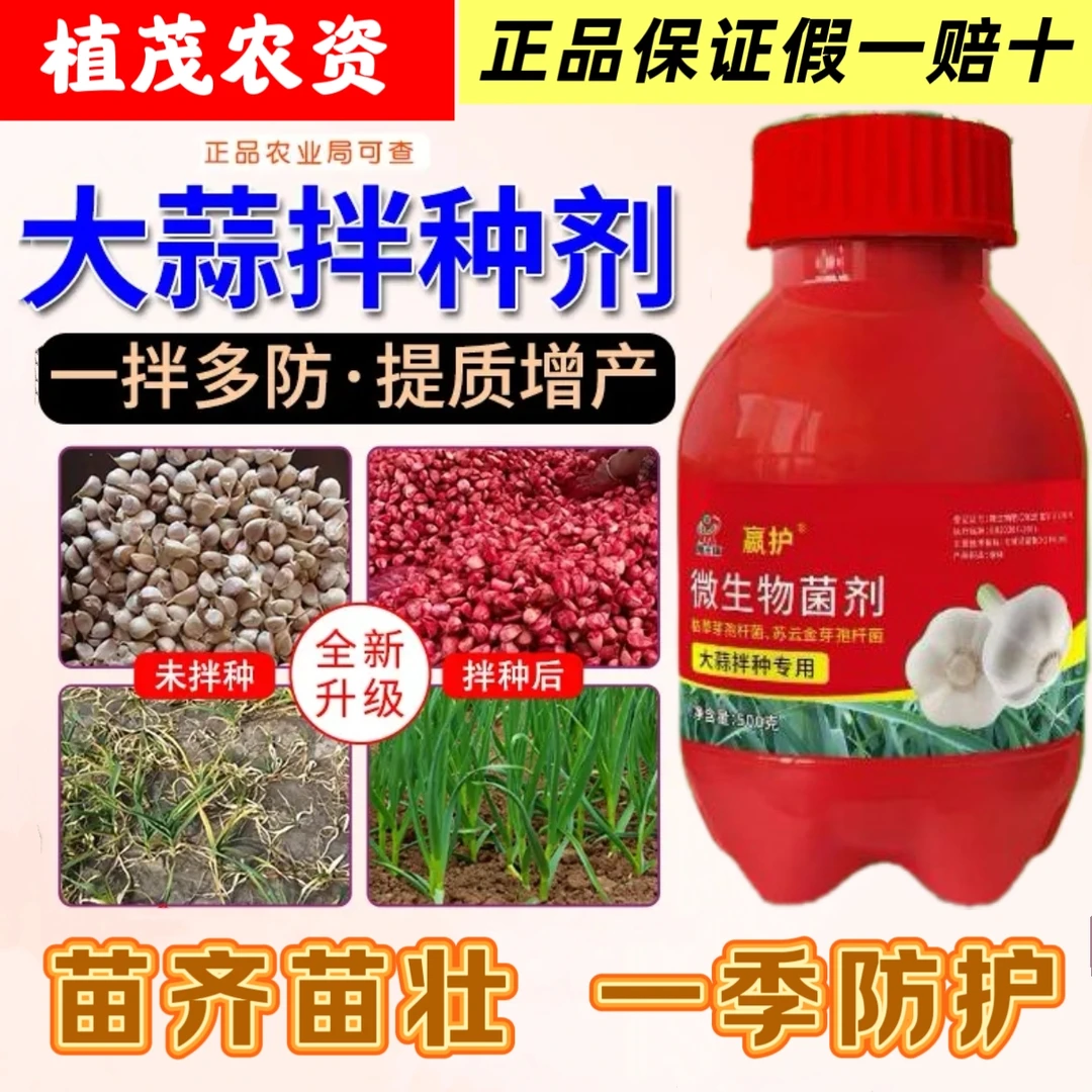 大蒜拌种剂生根催芽防病害提高出苗率增产大蒜专用拌种微生物菌剂