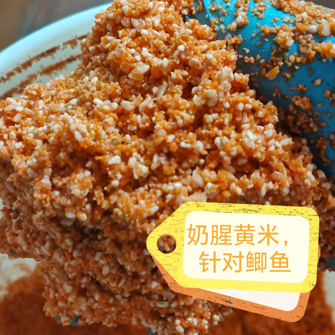 朱氏狂鲫霸鲤（奶腥黄米）