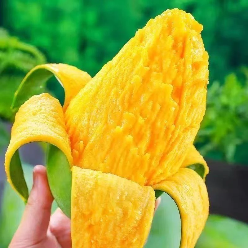 云南大青芒当季水果孕妇水果皮薄肉厚新鲜采摘