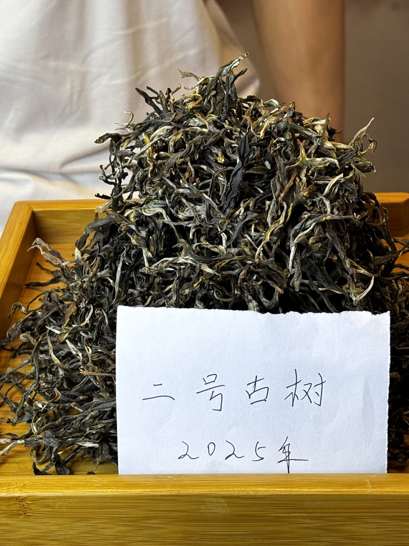2025年2号地头春革登直蚌大寨古树（送同款茶样试喝）高级茶叶