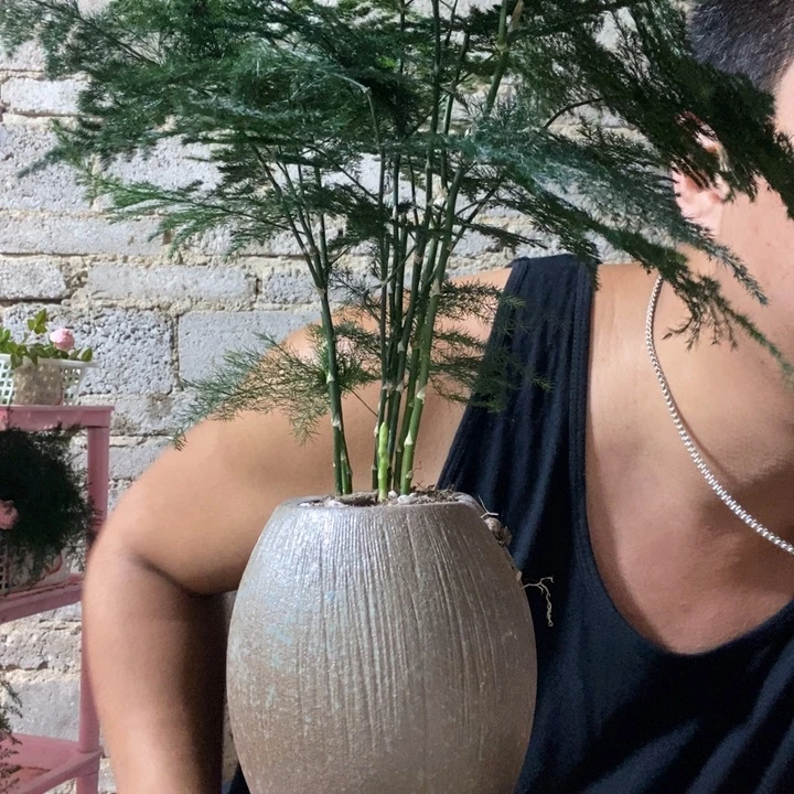 完全开放退款拉黑一物一拍186
