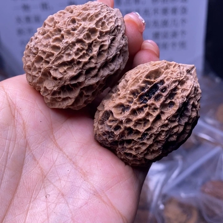 核桃云南野生铁核桃70号40mm