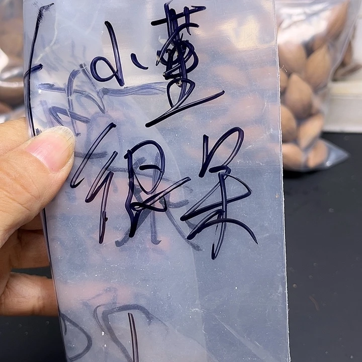 小***呆手串/手链橄榄核111111