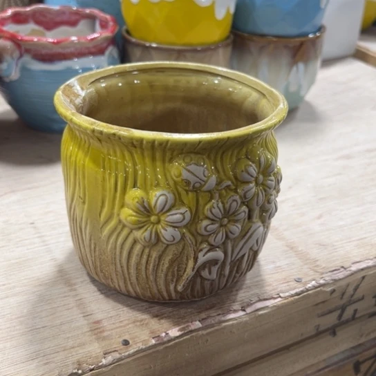 边播会边给你找盆的，耐心看几分钟谢谢，福袋先参与一下