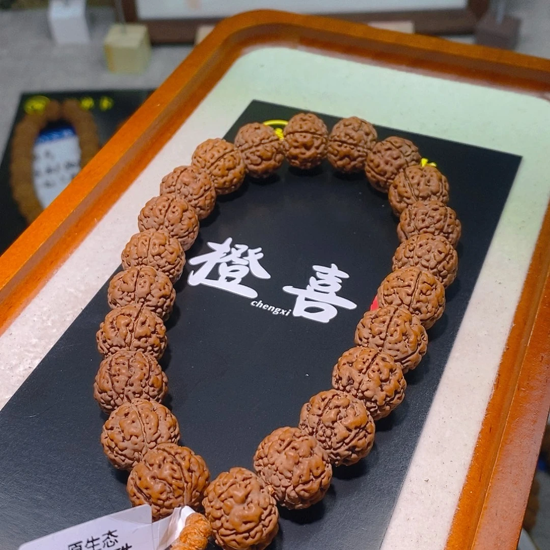 金刚菩提手串古树龙珠16