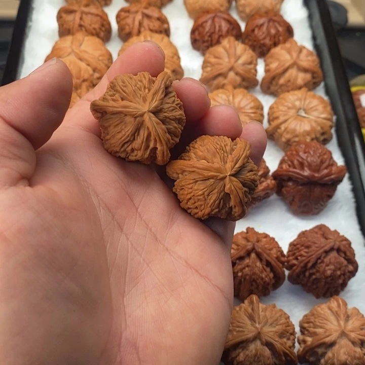 无***）文玩核桃把件36白奔