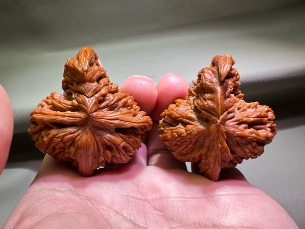 文玩核桃四座楼犀牛角异形粗犀牛角精品手把件盘它纯天然麻核桃