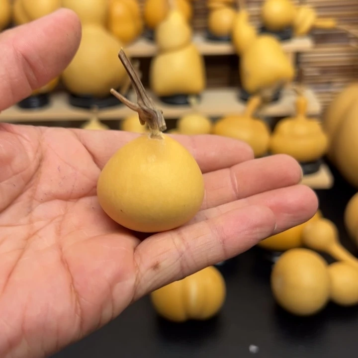 L****?156669999666999999