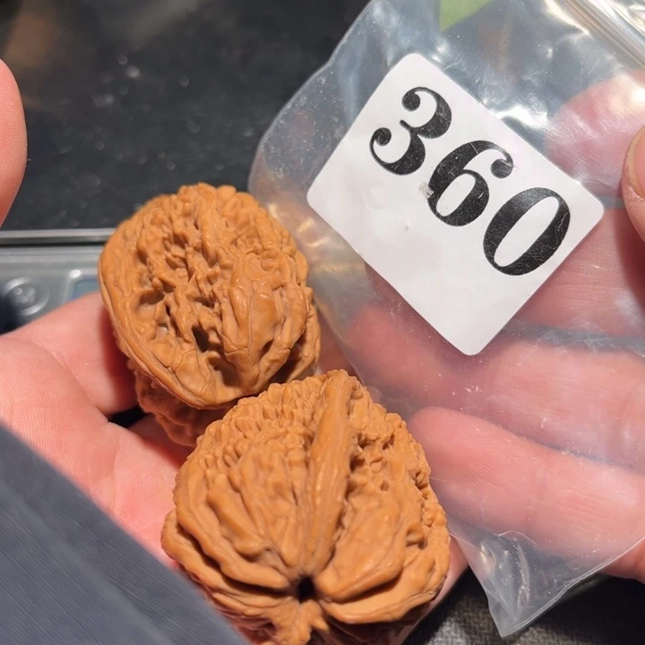 核桃21111111112222222