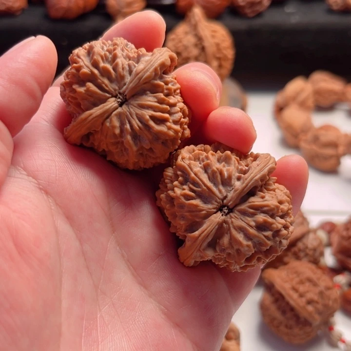 文玩核桃把件38.5尺寸晋公子树头