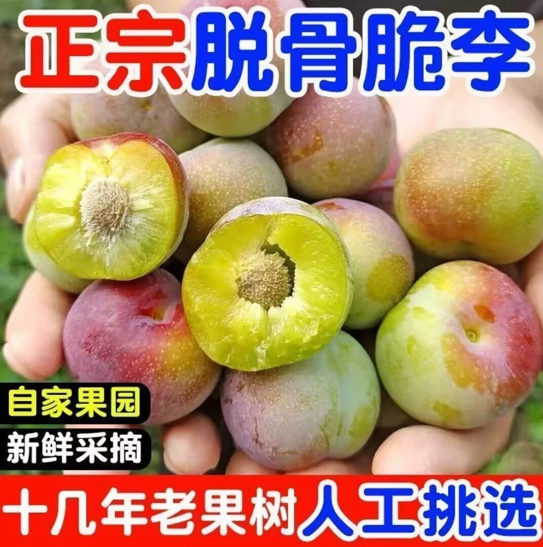 李子新鲜水果脱骨李子新鲜现摘当季半边红李子整箱包邮脱骨李LU