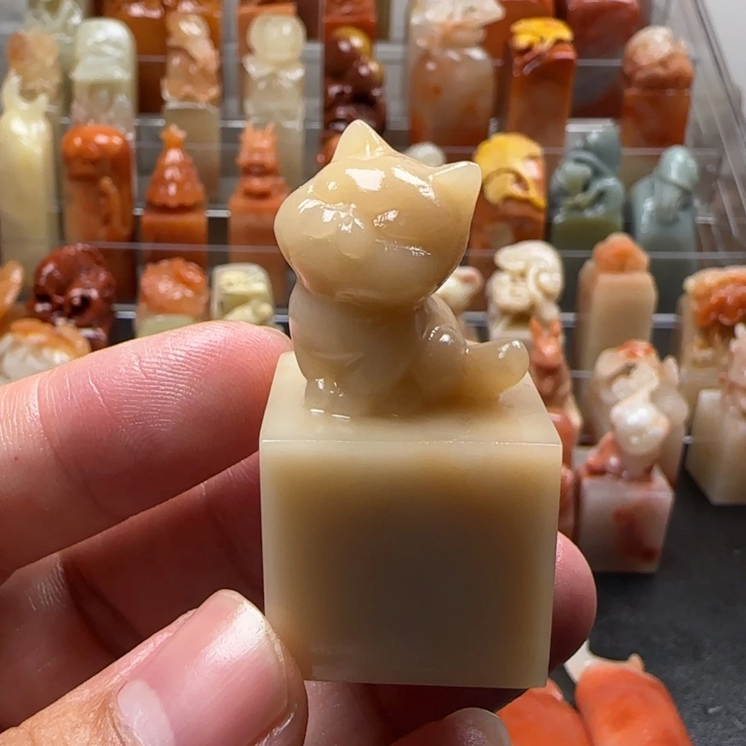 老挝石猫猫 2.3×4.6