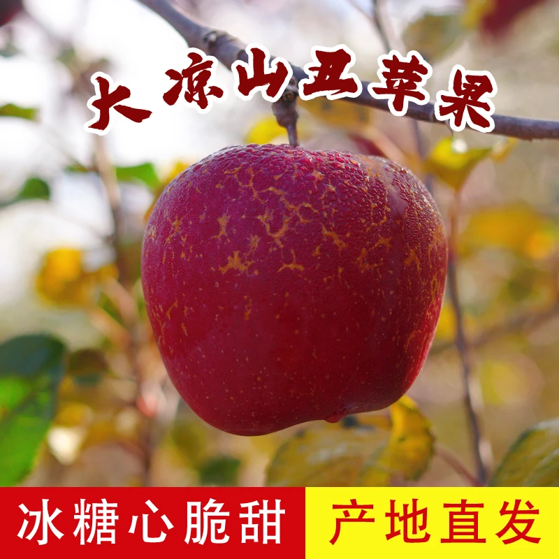 【产地品质严选】精选高品质丑苹果四川大凉山盐源冰糖心丑苹果直发
