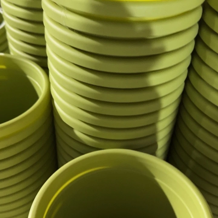 四季2号果绿无托10个