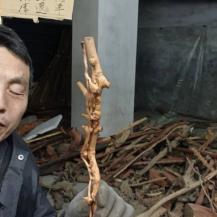 稳定木用****0贵州檬子木   铁马鞭   根艺  半成品