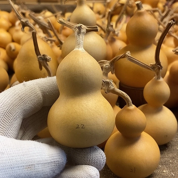 文玩葫芦 完美主义者 慎拍22