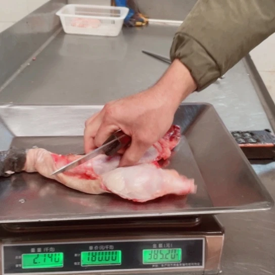 【闪购商品】冷冻保存30天包装河北省