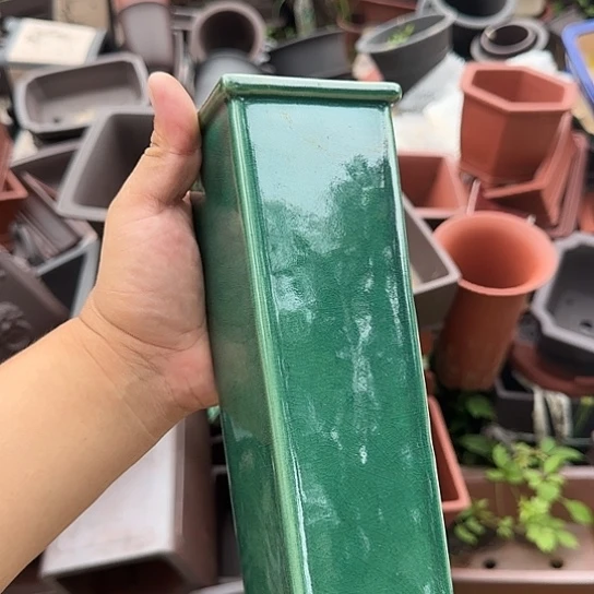 不去看书啊哈是真的想吐