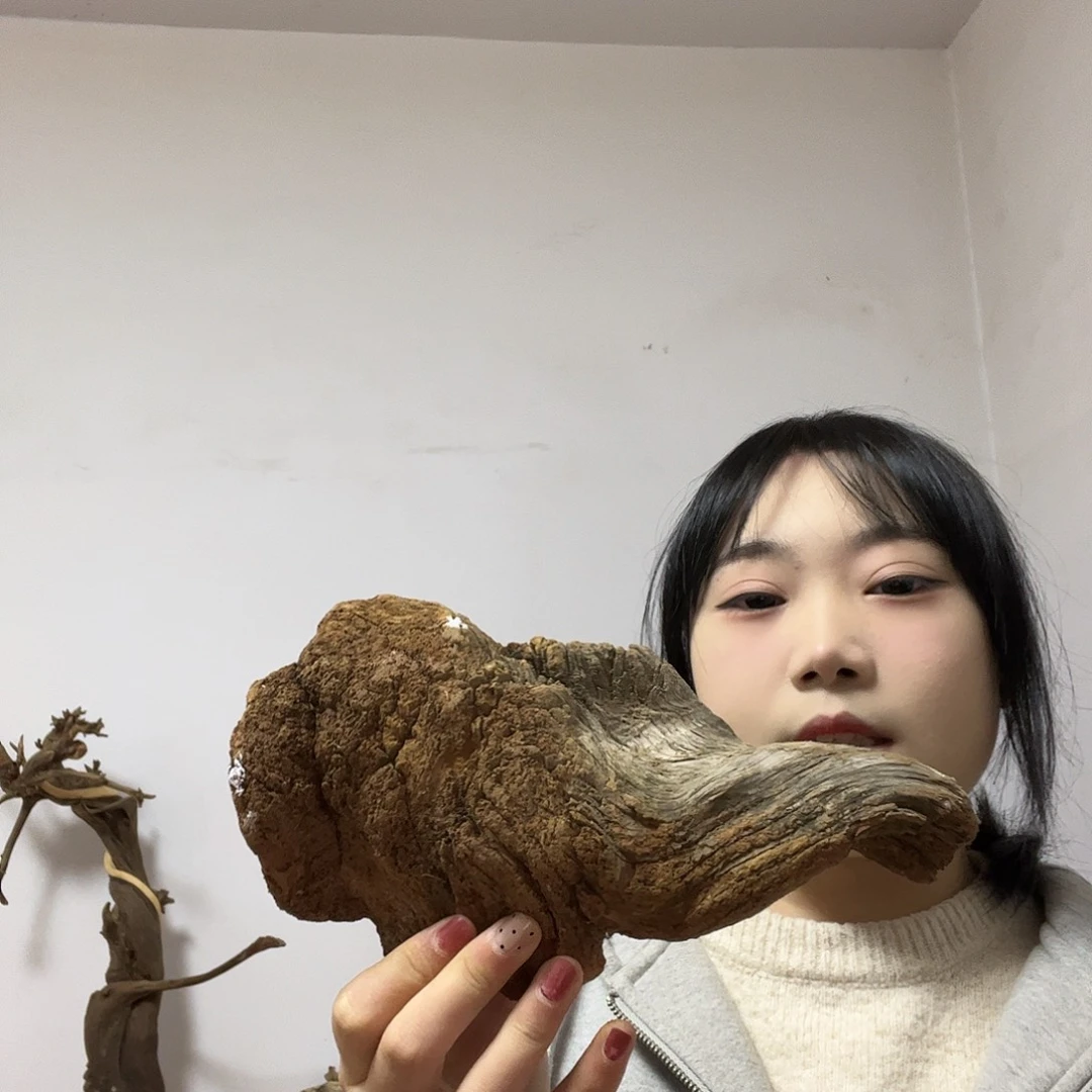 星***空柏木我也是一种习惯，