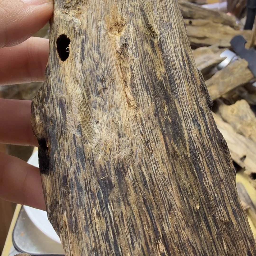 木绿奇楠原材料虫漏84克