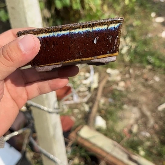 一天只喝一点奶茶和两碗奶茶