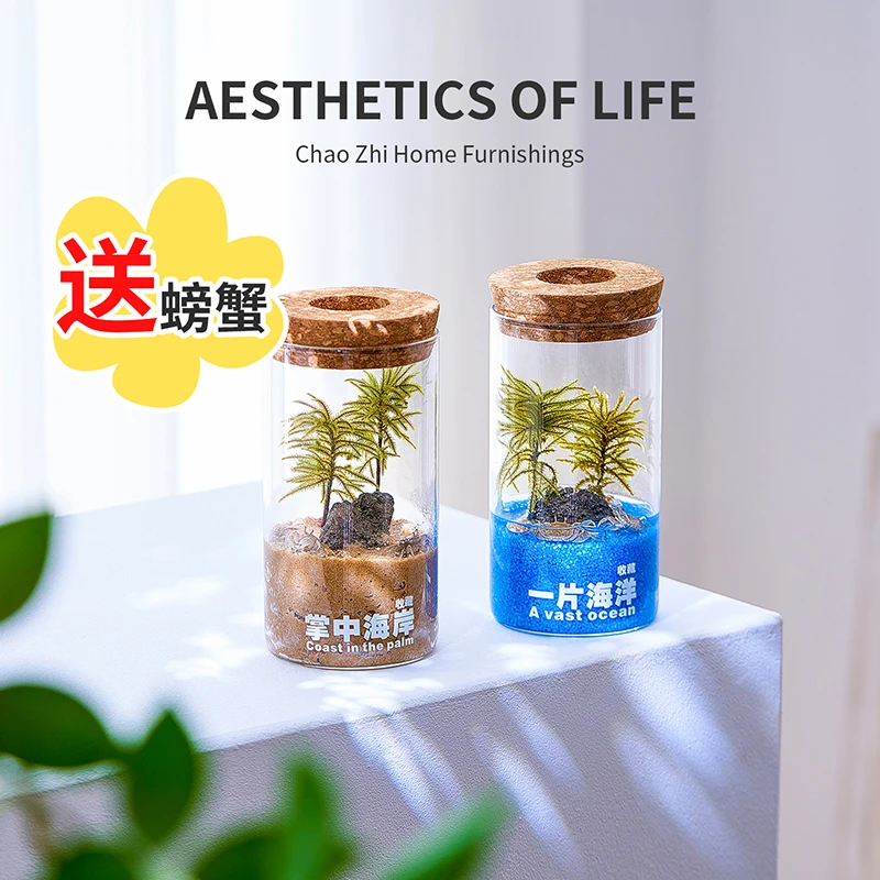 收藏一片海洋微景观摆件水培植物可养鱼创意办公室桌面绿植送礼物