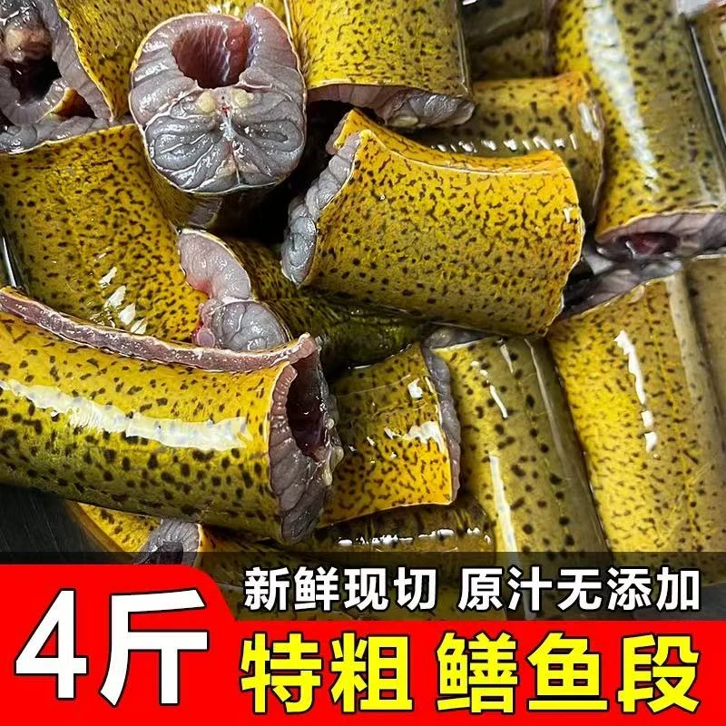 【新鲜活鱼宰杀】新鲜鳝鱼段带骨鳝鱼段 杀好切段发货