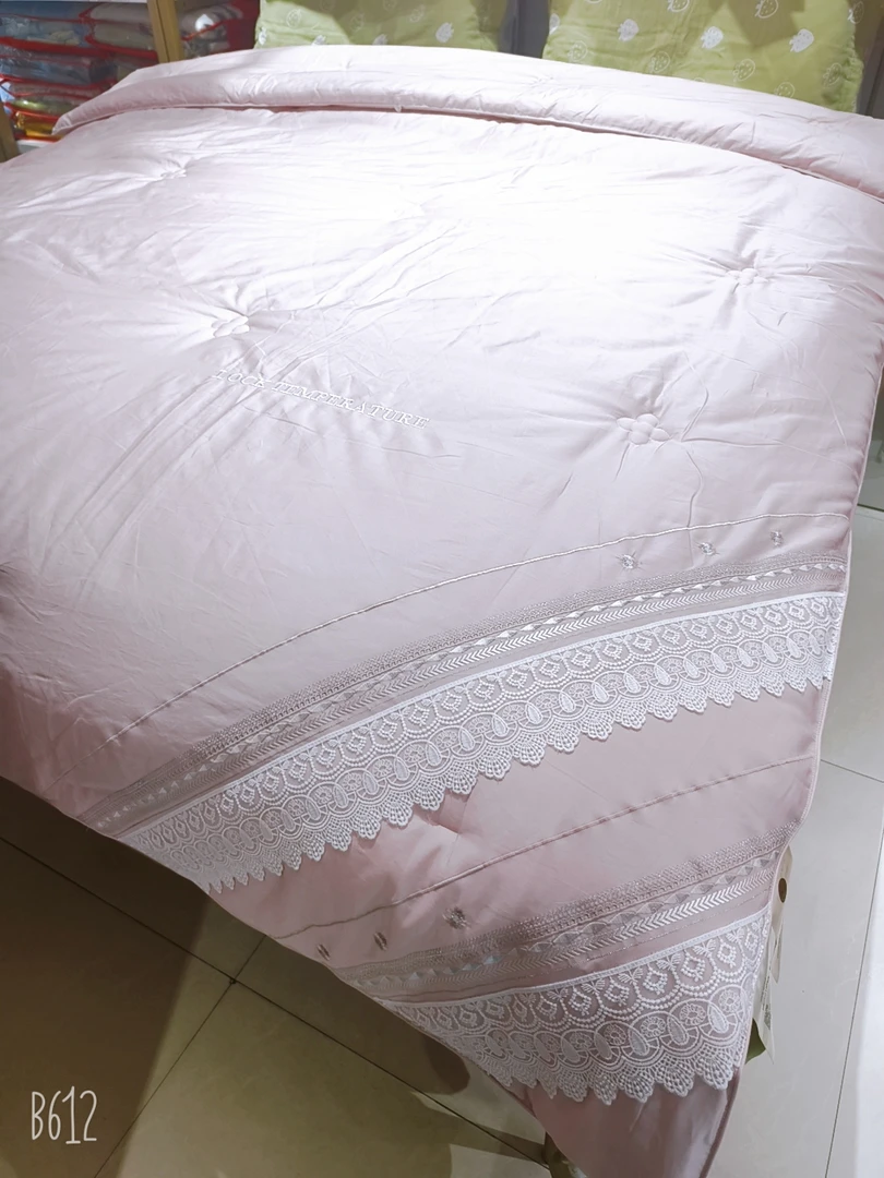 五一特惠羽绒棉春秋被