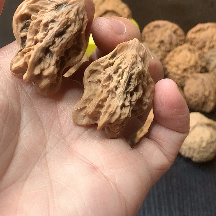吊坠文玩核桃小鸟