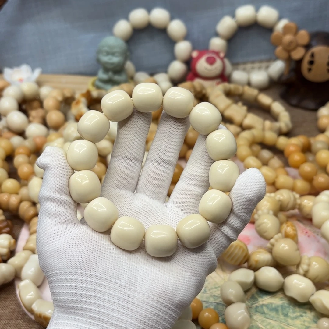 小***W吊坠菩提根/象牙果18干磨牙果桶180